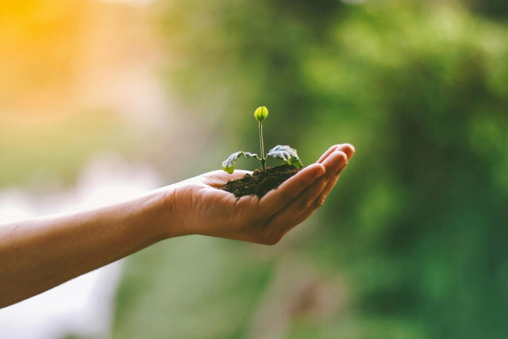 A hand holds a small pile of soil with a young green seedling growing from it, against a blurred green background.